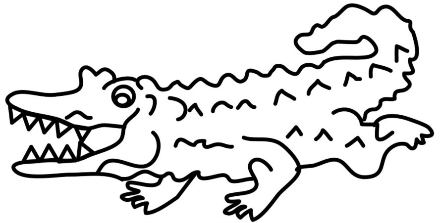 Alligator