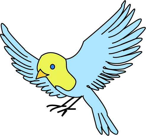 bird