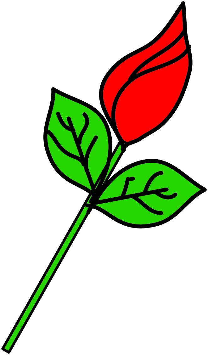 bud