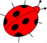 bug