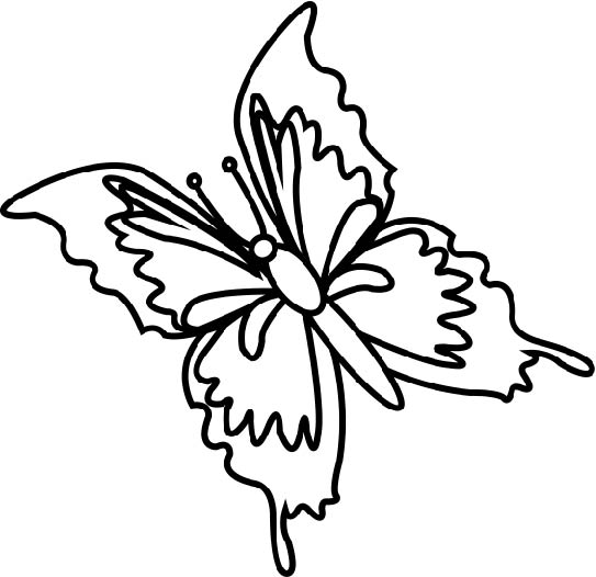 wing