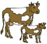 cow