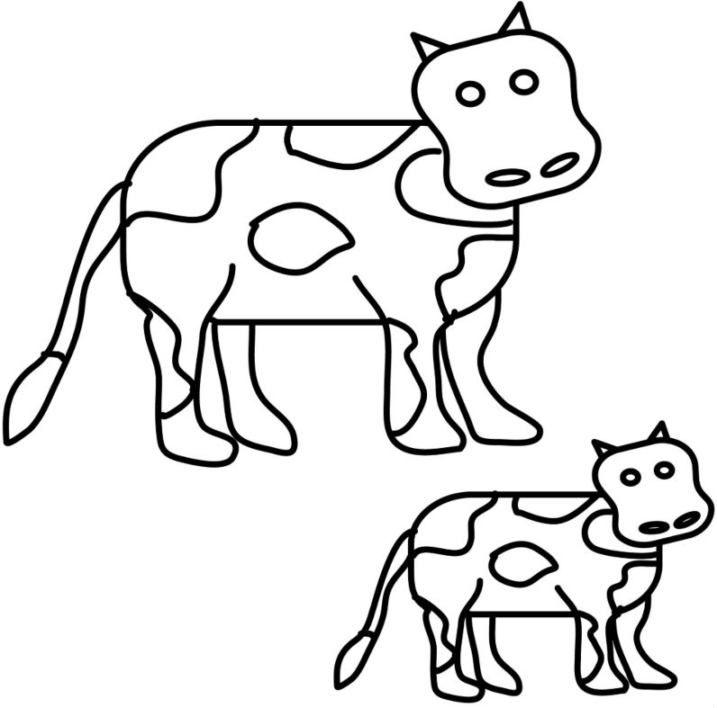 calf