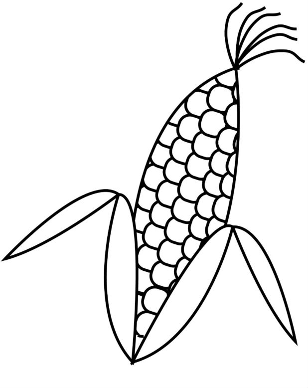 corn husk