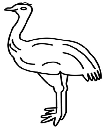emu