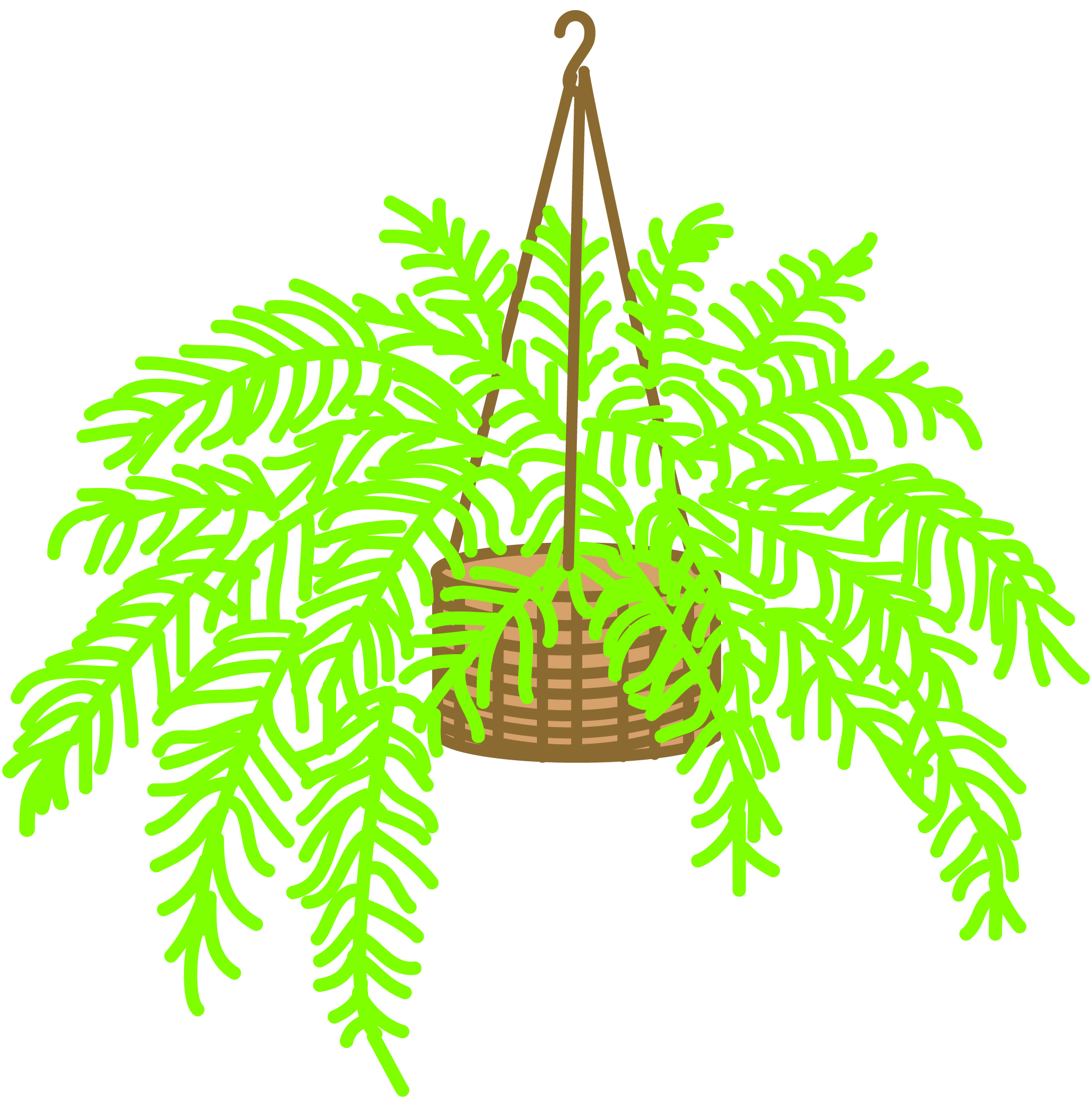 fern