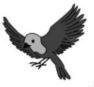 flying