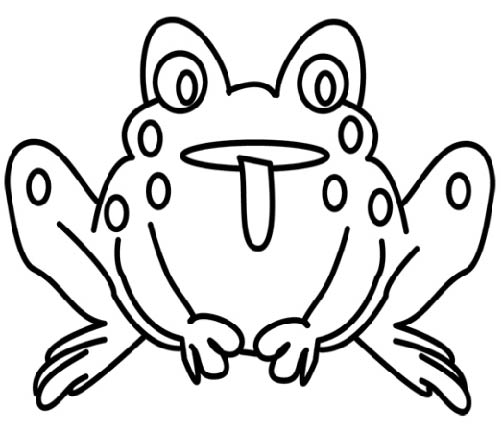 frog