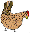 hen