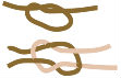 knots