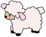 lamb