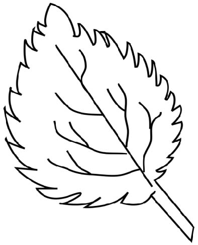 leaf