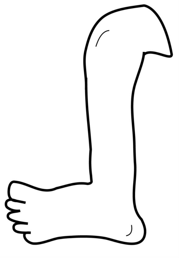 limb