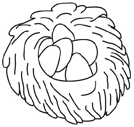 nest