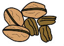 nuts