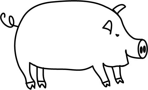 pig
