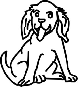puppy