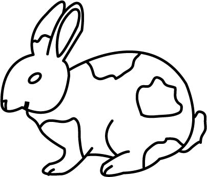 rabbit