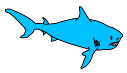 shark