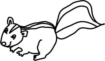 skunk