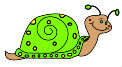 snail
