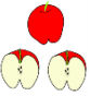 split