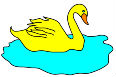 swan