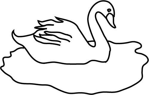swan