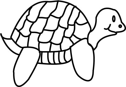turtle