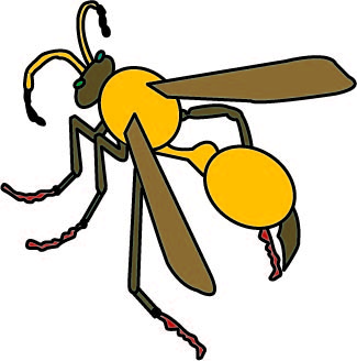 wasp