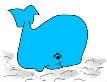 whale