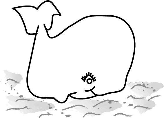 whale